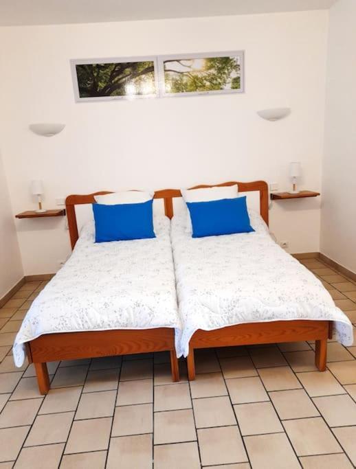 Les Albizias 5 Apartment อูเชนี-เลส์-แบงส์ ภายนอก รูปภาพ